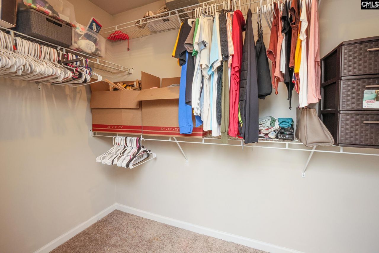 518 Colony Lakes Drive Photo 25