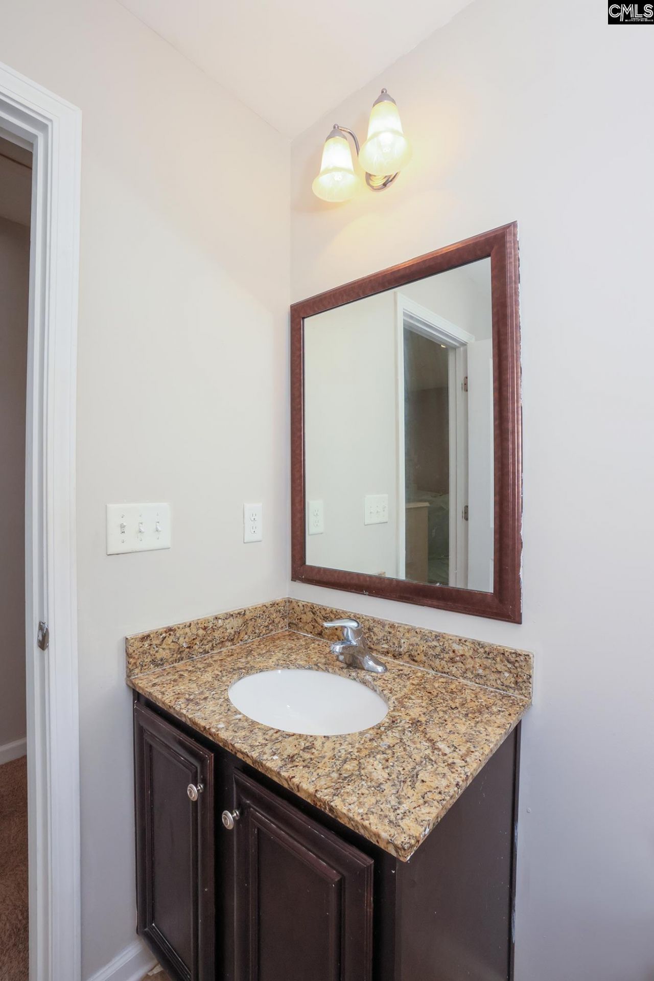 518 Colony Lakes Drive Photo 39