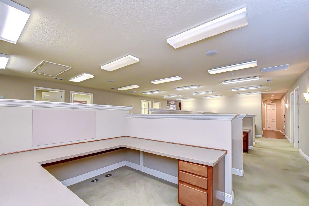 6928 W Linebaugh Avenue, Tampa, FL 33625 Photo