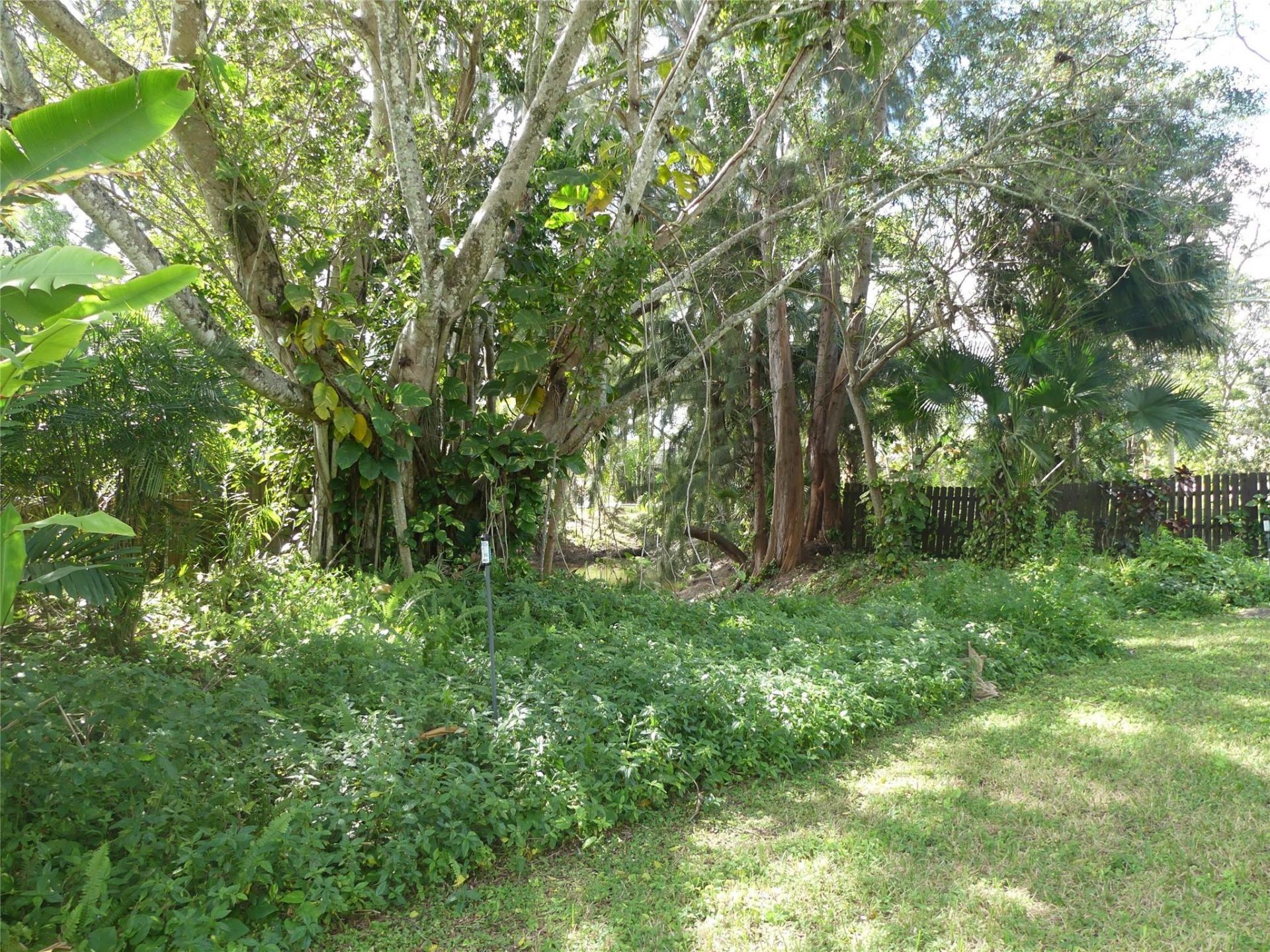 5221 Pinetree Road, Parkland, FL 33067 Photo