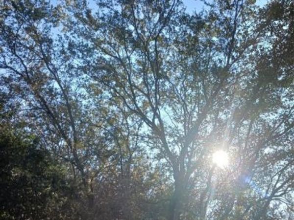 127 ORCHARD AVENUE, Palatka, FL 32178