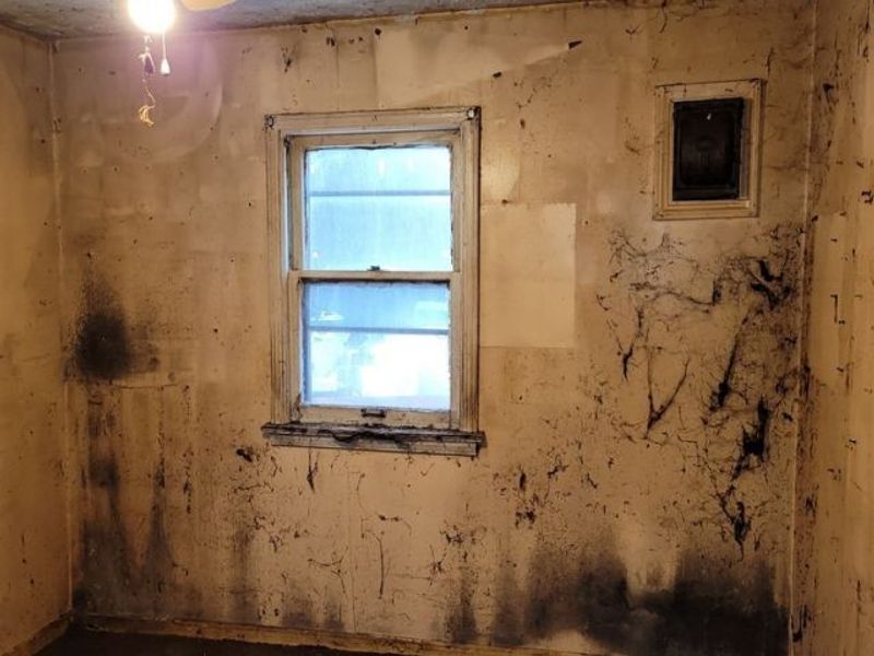 5820 Ash Street, Chippewa Lake, OH 44215 Photo 12