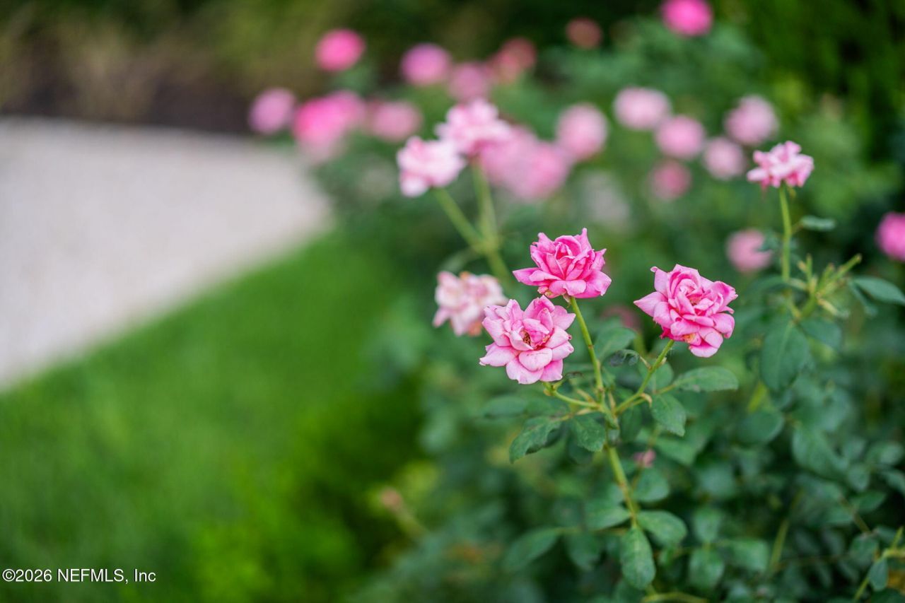 2300 N Scenic Highway, Unit 5, Lake Wales, FL 33898 Photo