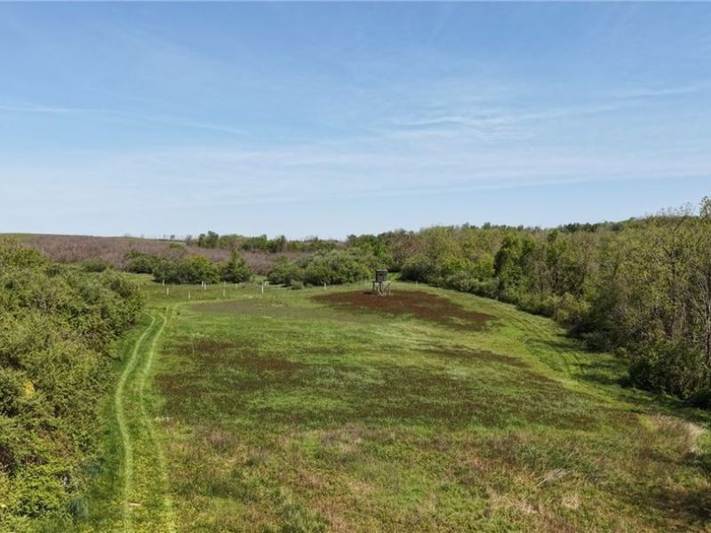35620 Egypt North Road, Barnesville, OH 43713 Photo 12
