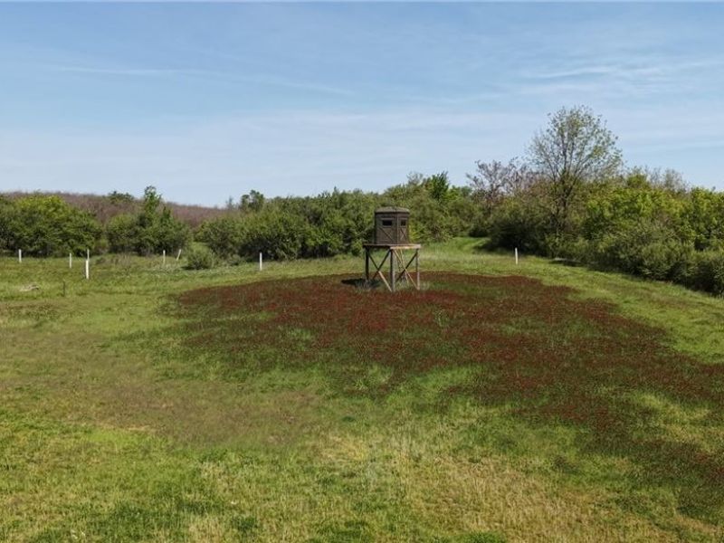 35620 Egypt North Road, Barnesville, OH 43713 Photo 13