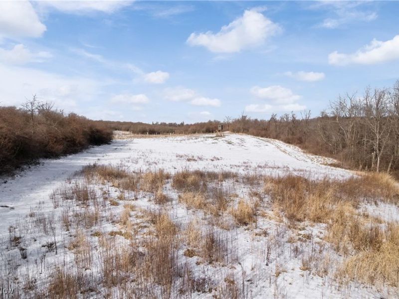 35620 Egypt North Road, Barnesville, OH 43713 Photo 30