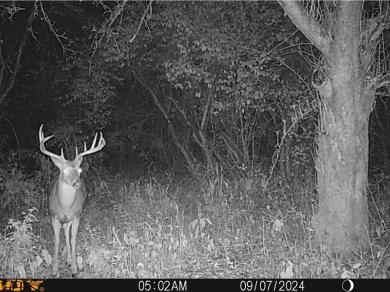 35620 Egypt North Road, Barnesville, OH 43713 Photo 41