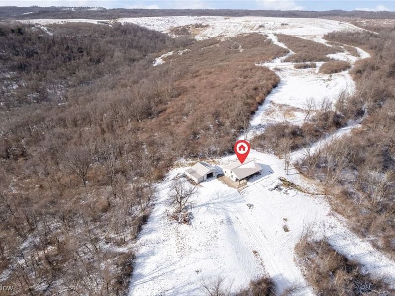 35620 Egypt North Road, Barnesville, OH 43713 Photo 5