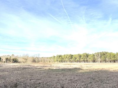 Tbd Felderville Road, Elloree, SC 29047