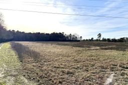 Tbd Felderville Road photo 4