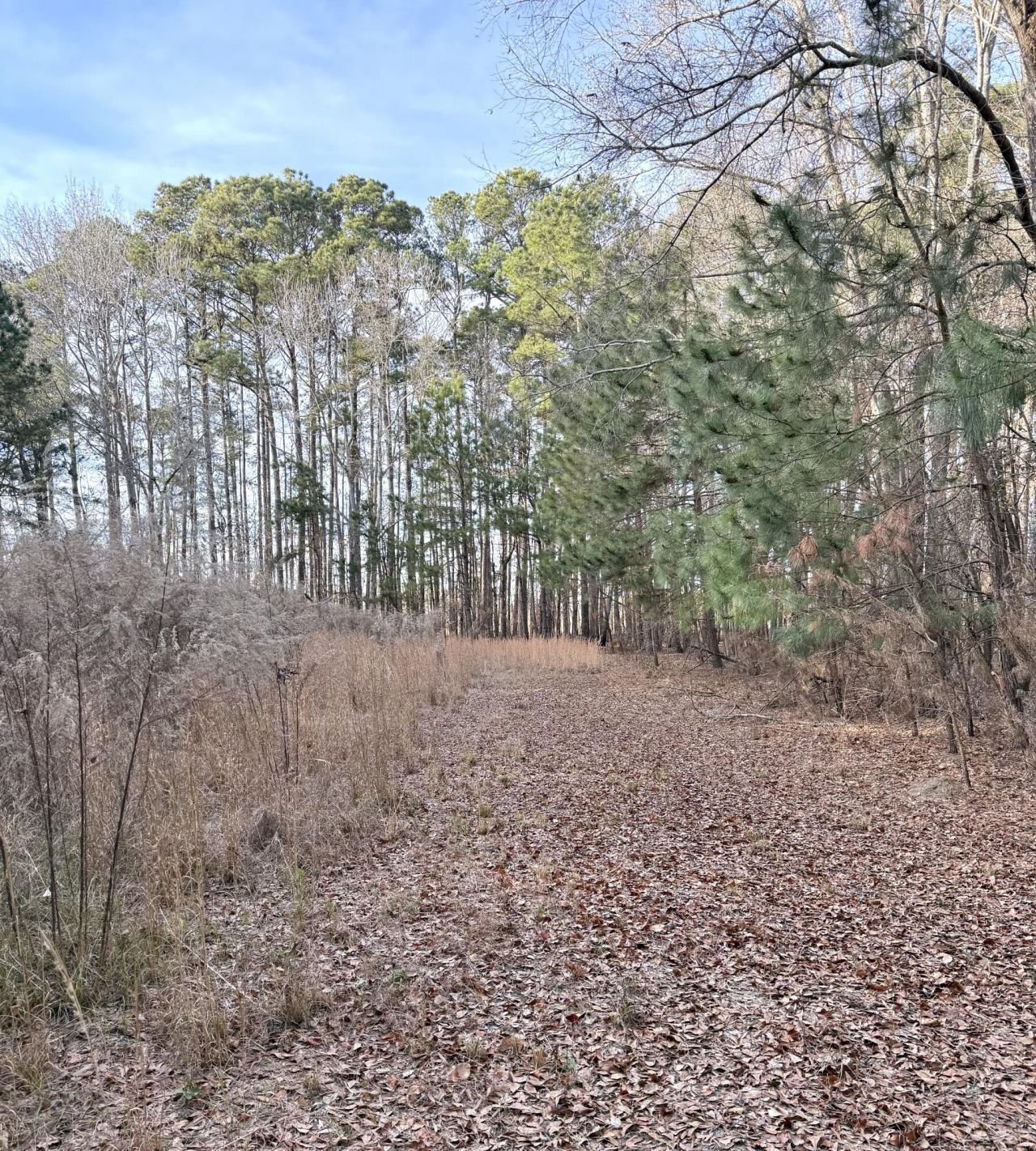 Tbd Felderville Road Photo 4