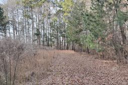 Tbd Felderville Road photo 4