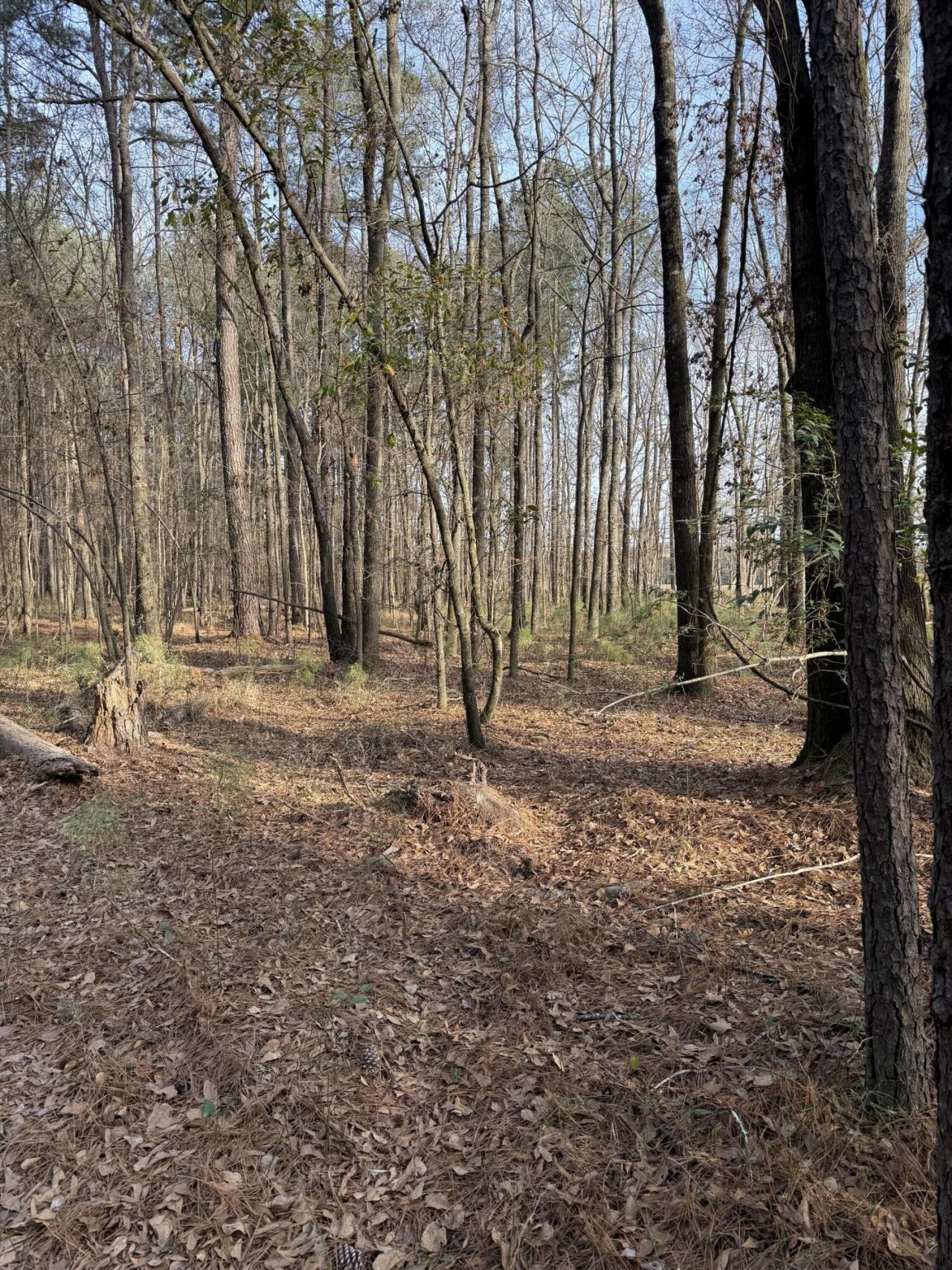 Tbd Felderville Road Photo 5