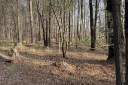 Tbd Felderville Road photo 4