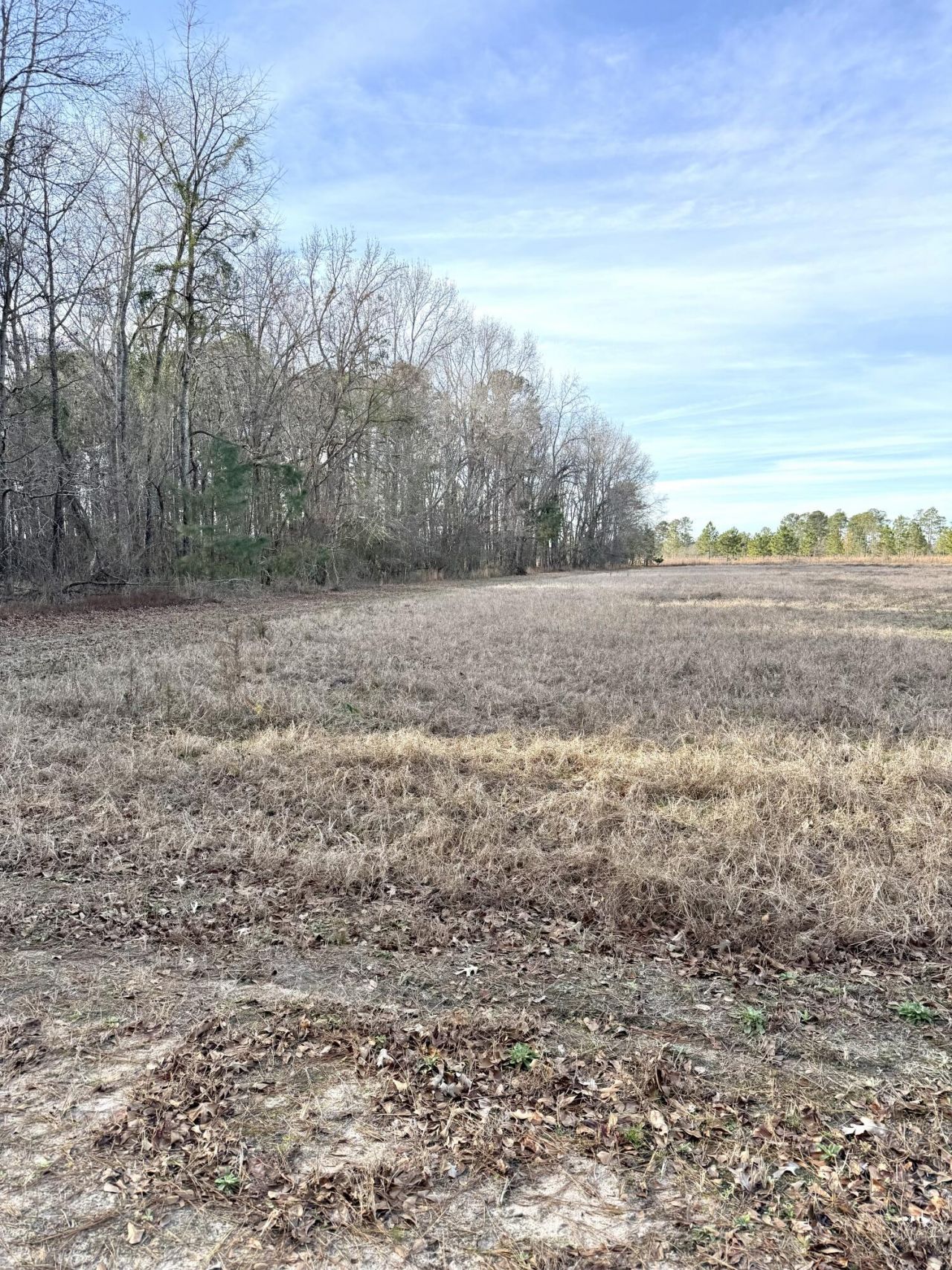 Tbd Felderville Road Photo 8