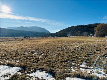 171 Cronk Lane, Roxbury, NY 12434