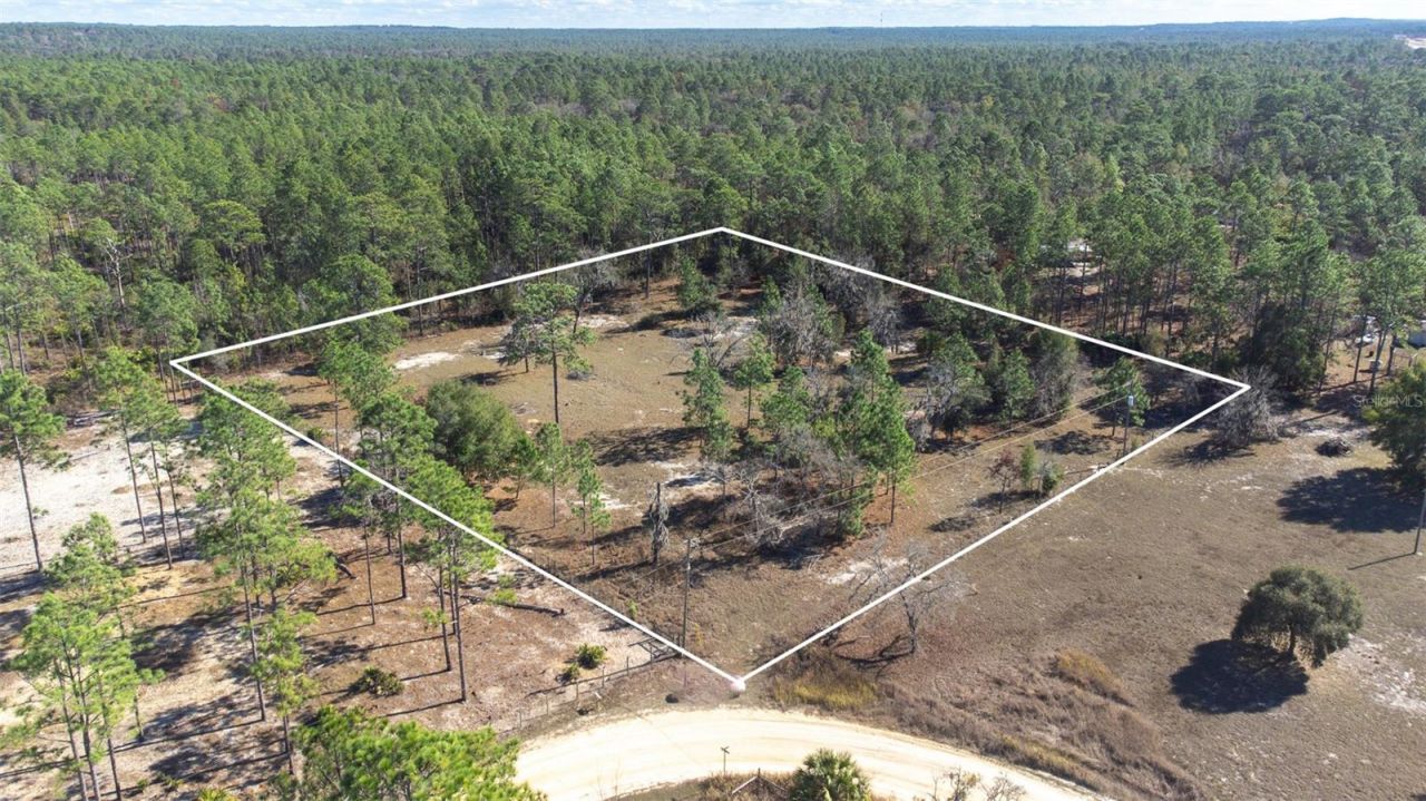 5555 N Muslin Terrace, Dunnellon, FL 34433 Main Photo