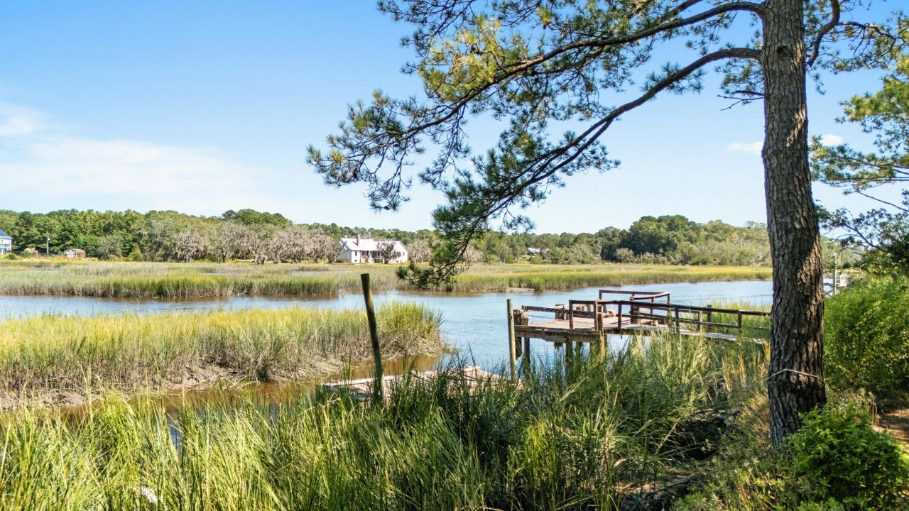 7299 Commodore Road Photo 4