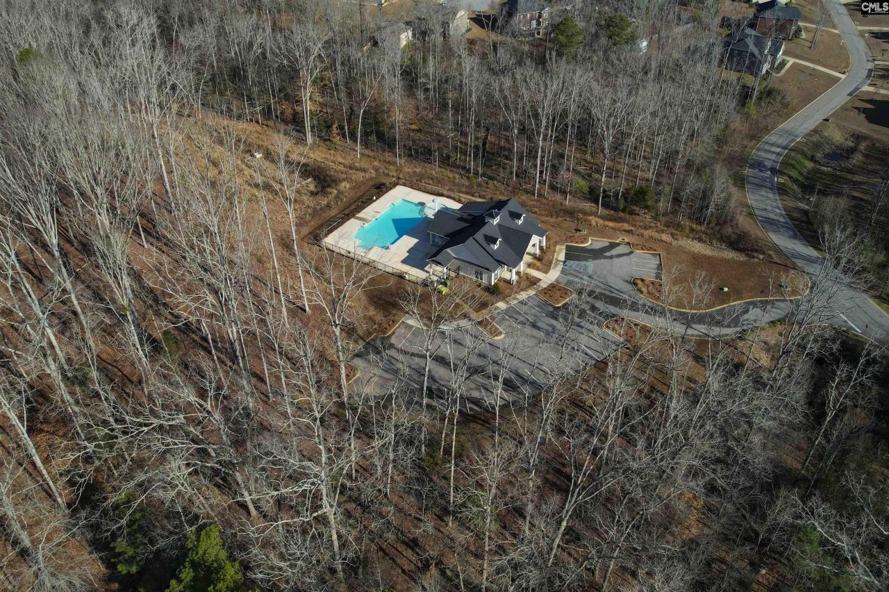 587 Wild Hickory Lane  Photo 88