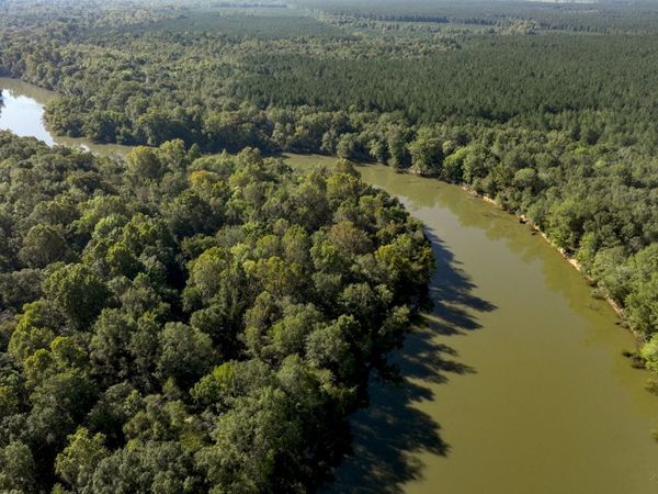 0 Abbeville Highway, Rhine, GA 31077