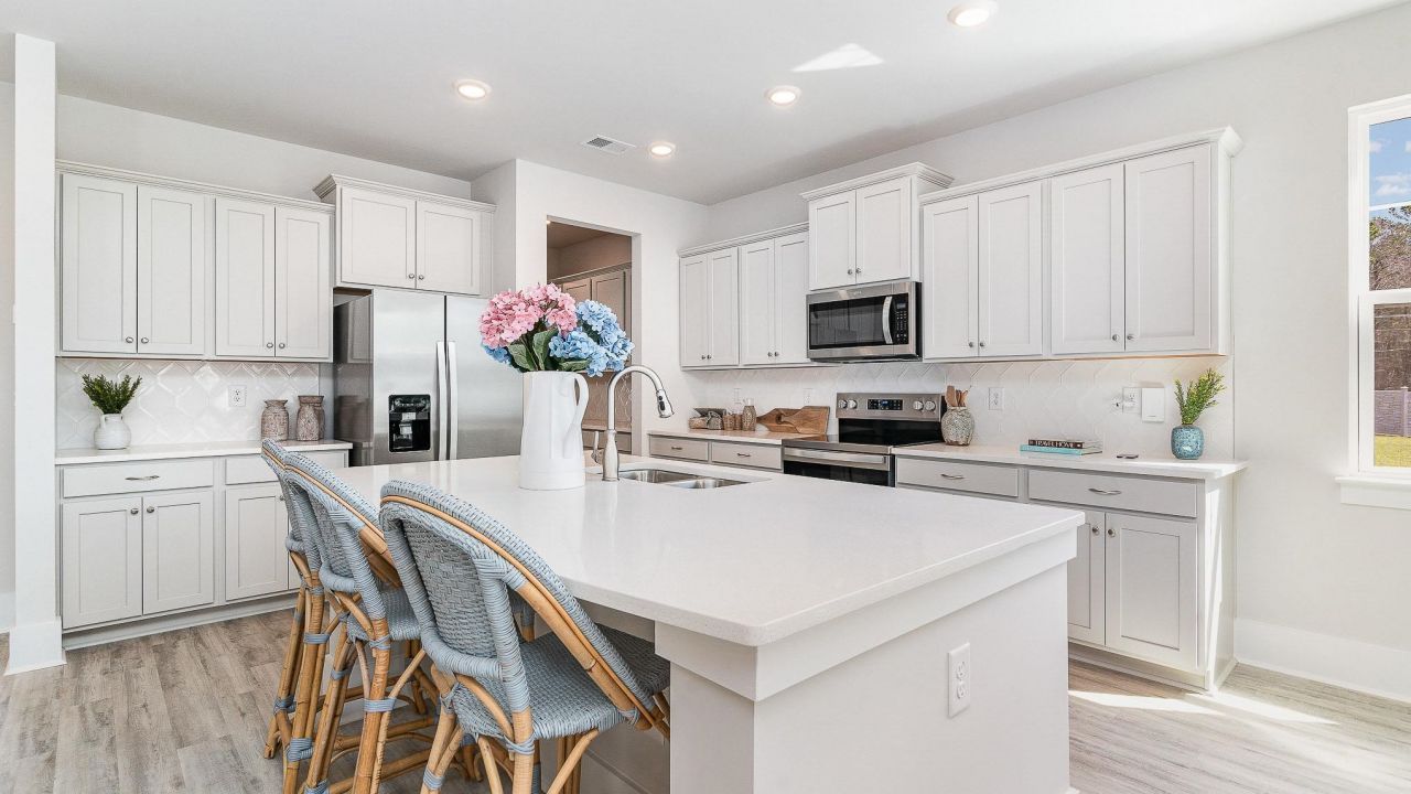 221 Blueberry Fields Ct. Photo 17