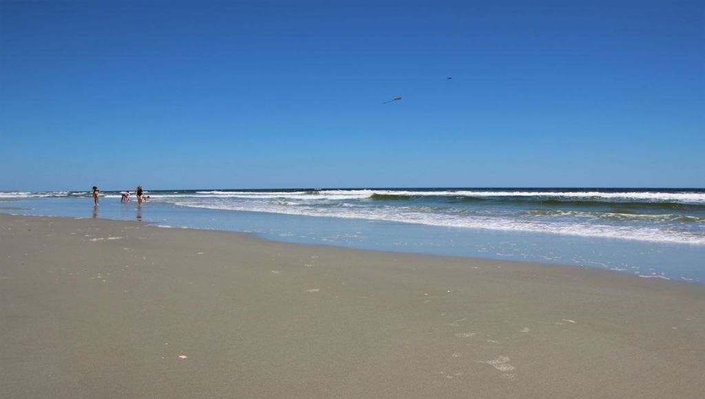 221 Blueberry Fields Ct. Photo 40