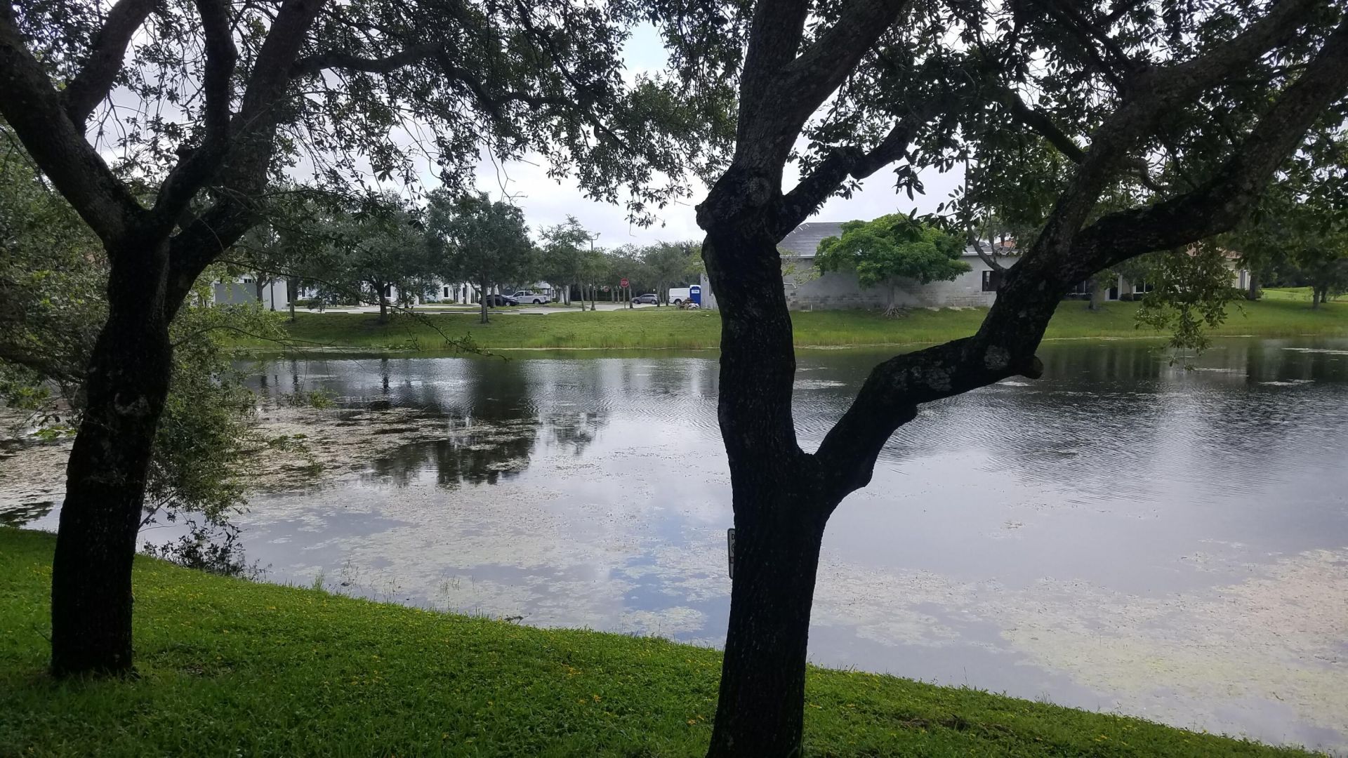 1402 Royal Palm Beach Boulevard, Unit 300, Royal Palm Beach, FL 33411 Photo