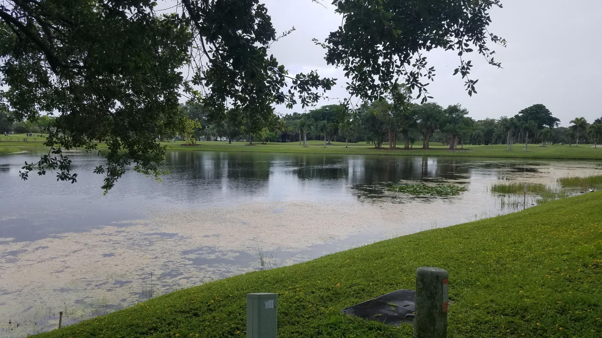 1402 Royal Palm Beach Boulevard, Unit 300, Royal Palm Beach, FL 33411 Photo