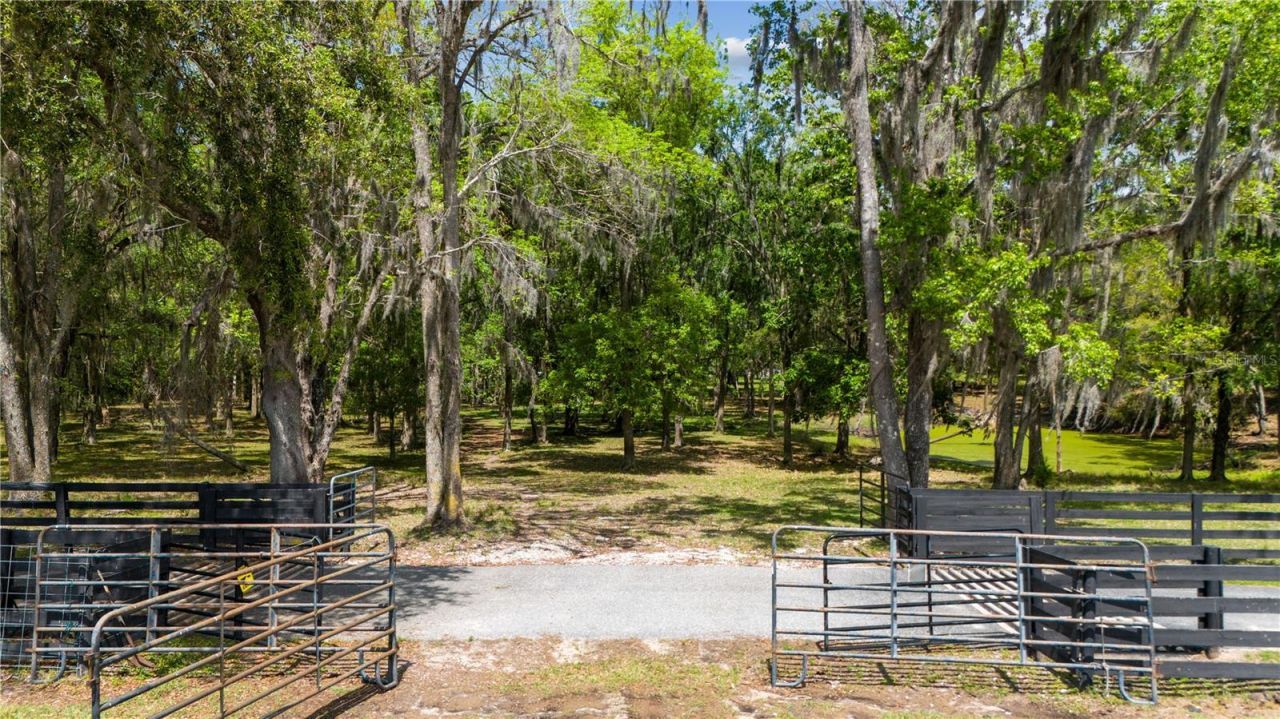 12345 Citrus Way, Brooksville, FL 34601 Photo