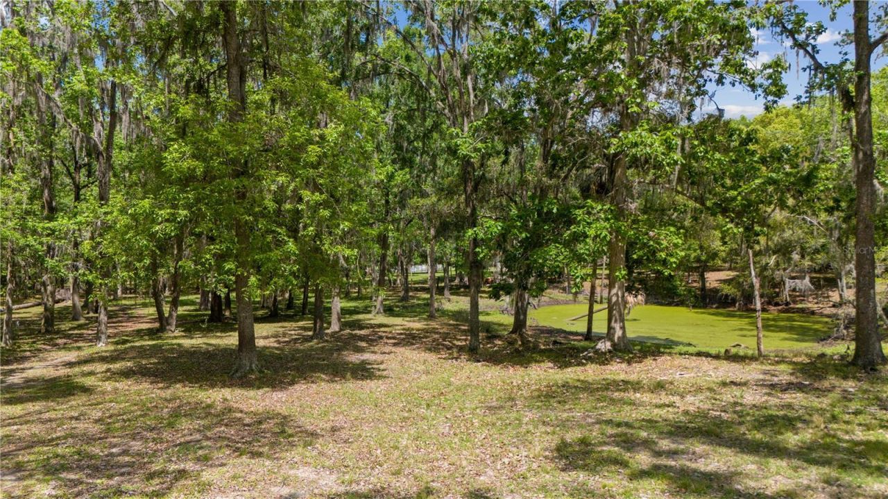 12345 Citrus Way, Brooksville, FL 34601 Photo