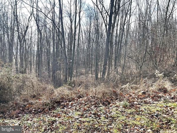 LOT #17 WEAVER WOODS RD, SAXTON, PA 16678