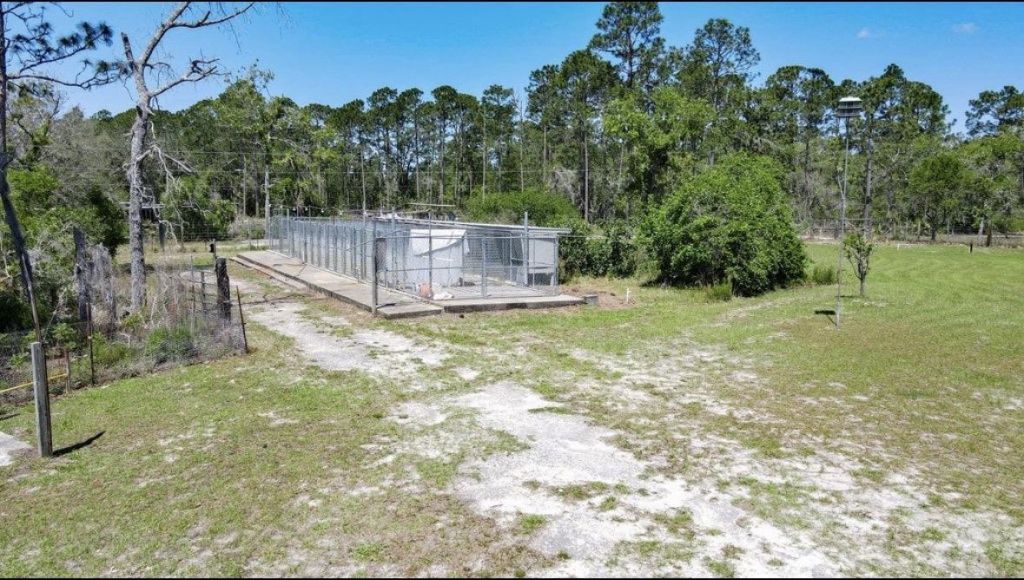 22754 Salem Tower Rd, Unit 1-5, Steinhatchee, FL 32359 Photo