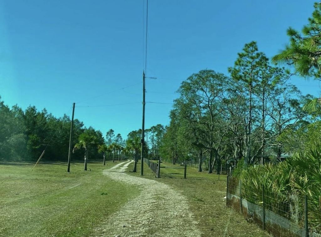 22754 Salem Tower Rd, Unit 1-5, Steinhatchee, FL 32359 Photo