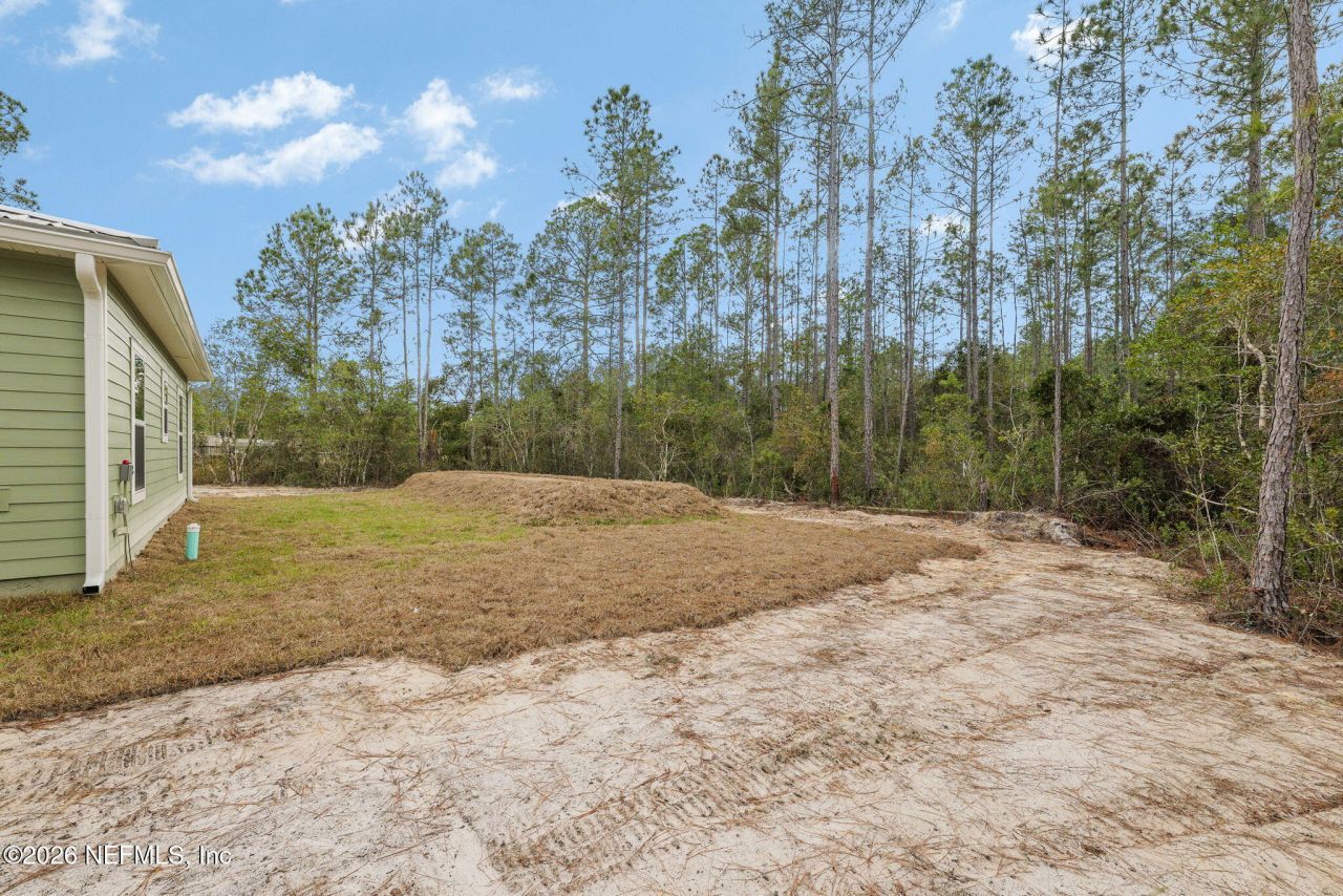 10515 Dillon Avenue, Hastings, FL 32145 Photo