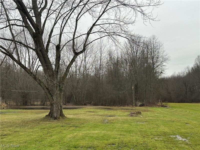 6039 N Park Avenue Extension, Warren, OH 44481 Photo 24