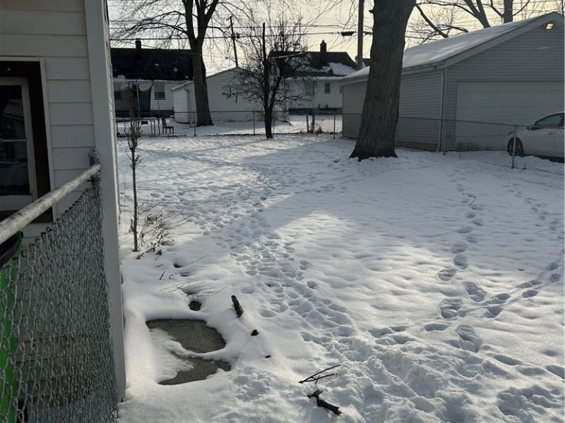 172 Best Street, Bedford, OH 44146 Photo 4