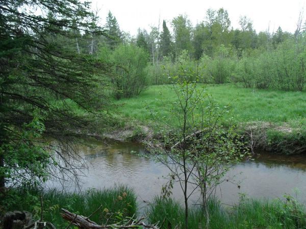 V/L 30 AC Spikehorn Trail, Indian River, MI 49749