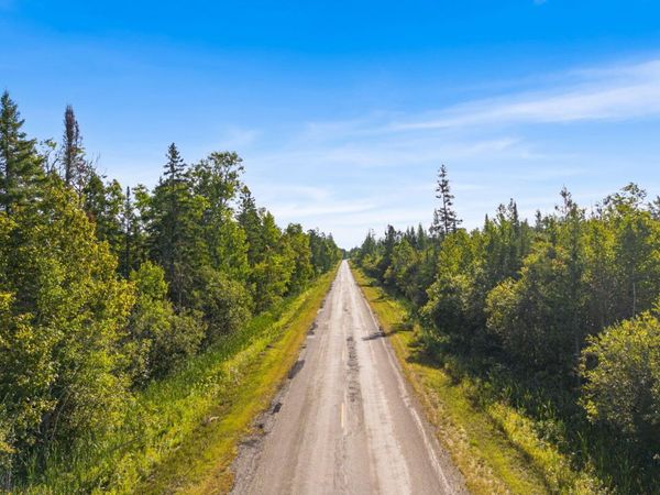 V/L 38.46A E Gill Road, Carp Lake, MI 49718