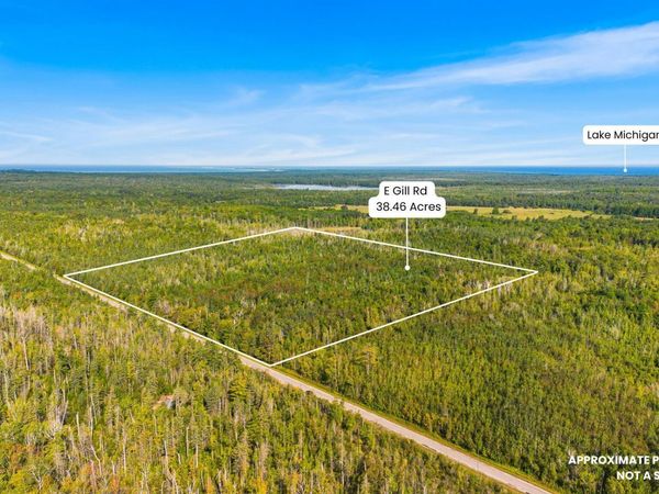 V/L 38.46A E Gill Road, Carp Lake, MI 49718