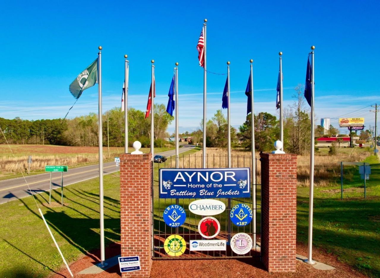 168 Rosedale Dr. Photo 38