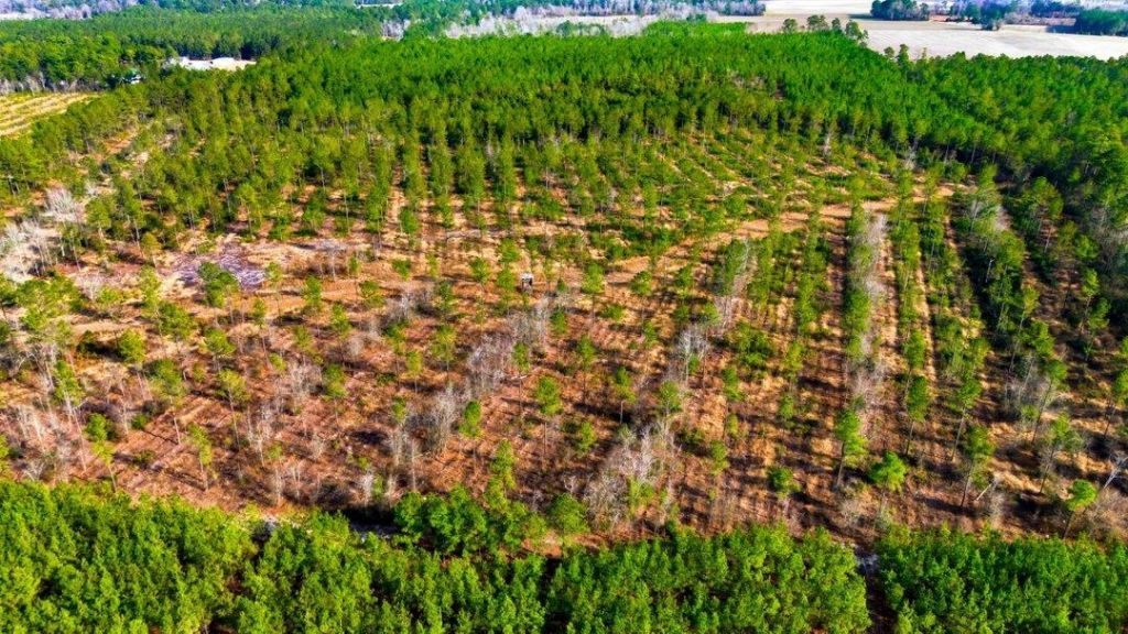 Acreage Highway 45  Photo 11