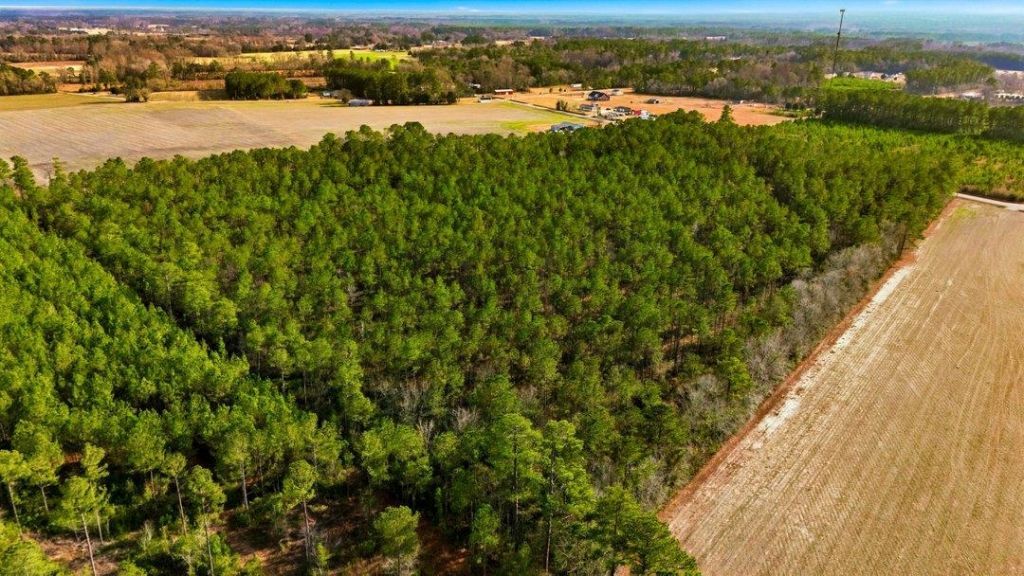 Acreage Highway 45  Photo 13