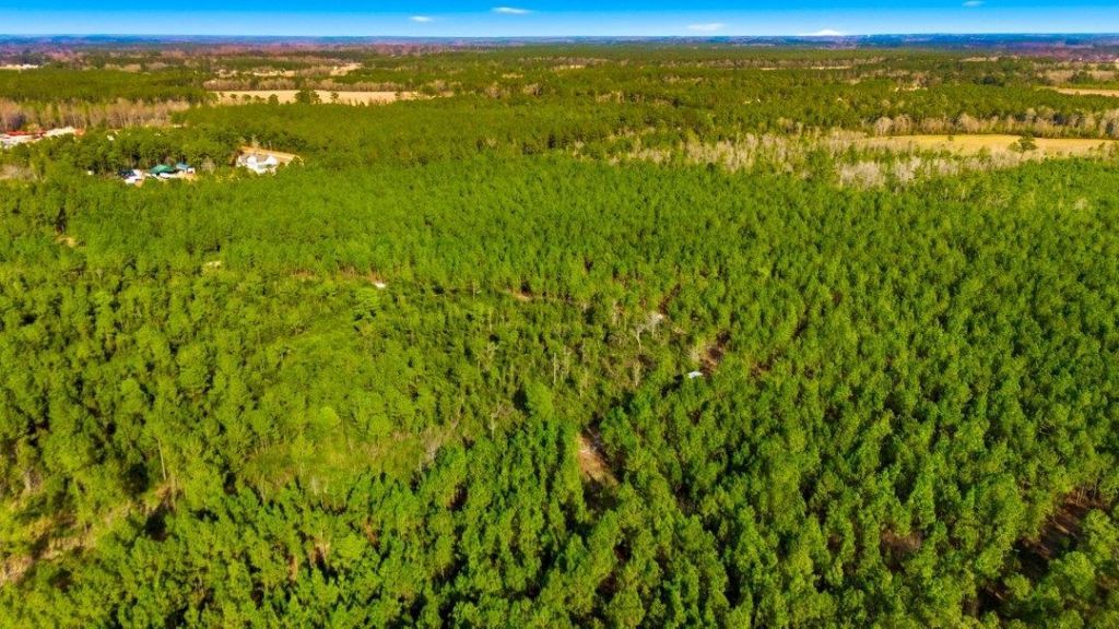 Acreage Highway 45  Photo 15