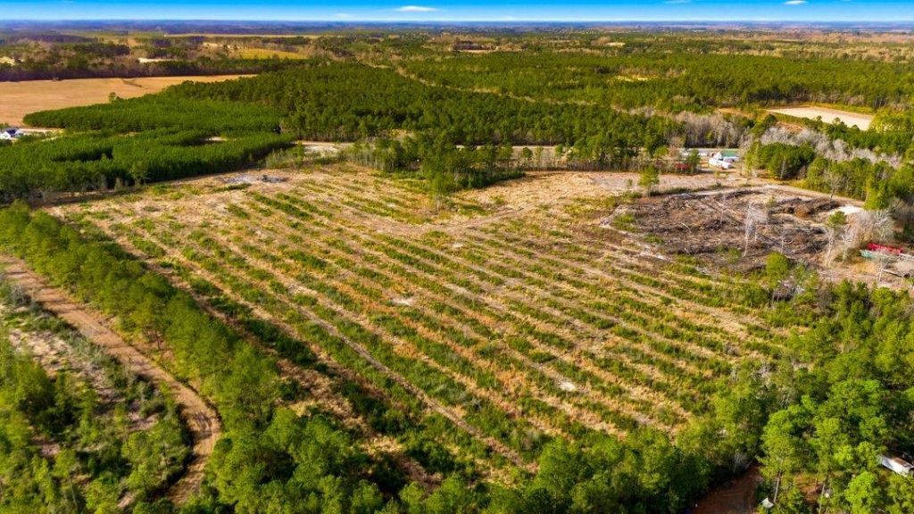 Acreage Highway 45  Photo 18