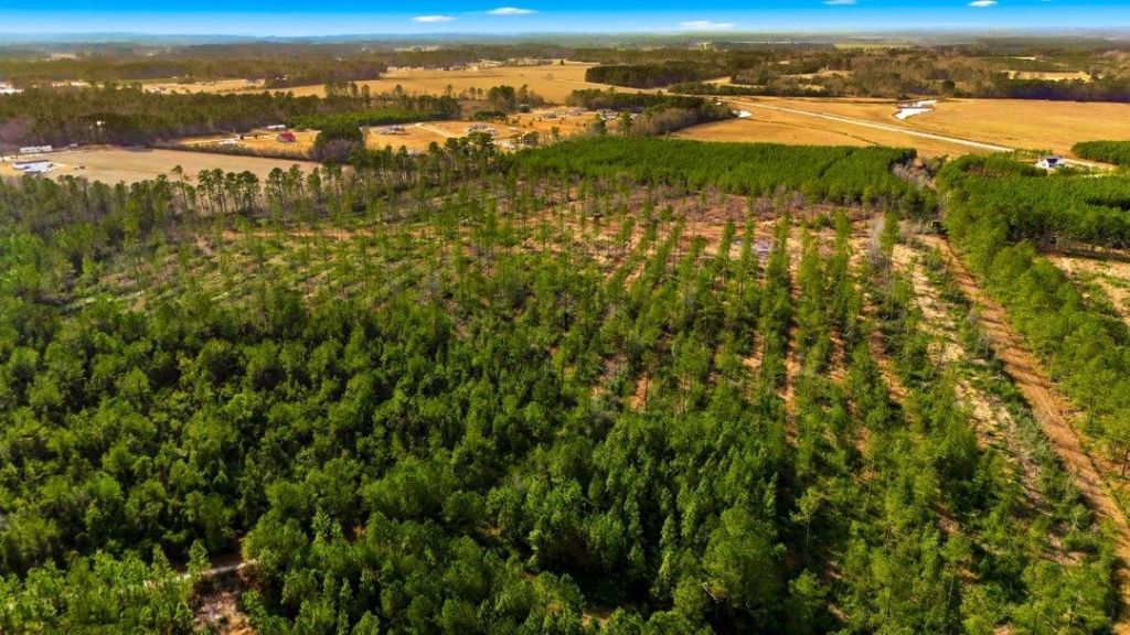 Acreage Highway 45  Photo 19