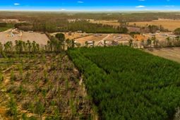 Acreage Highway 45  photo 4