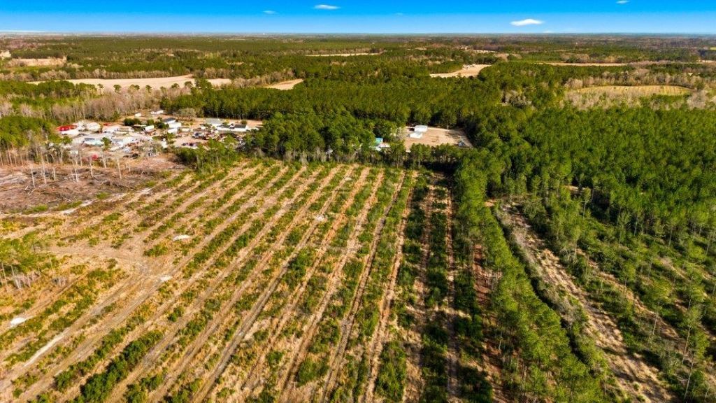 Acreage Highway 45  Photo 4