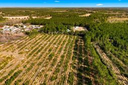 Acreage Highway 45  photo 4