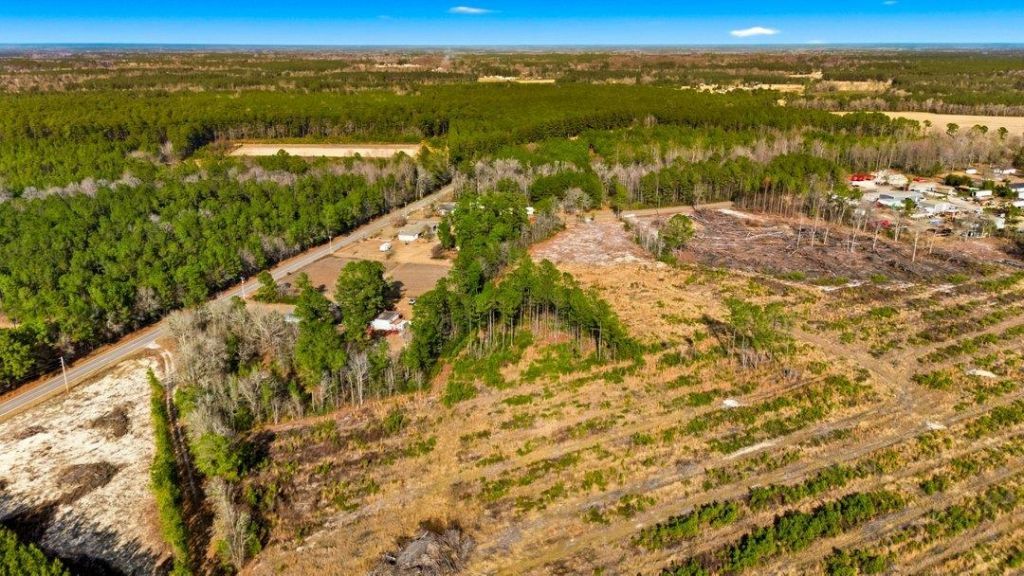 Acreage Highway 45  Photo 5