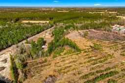 Acreage Highway 45  photo 4